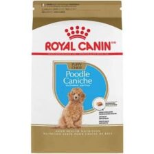 hinh anh thuc an royal canin poodle puppy cho poodle con 1 31