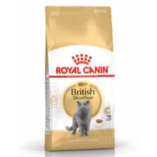 hinh san pham royal canin british shorthaird adult