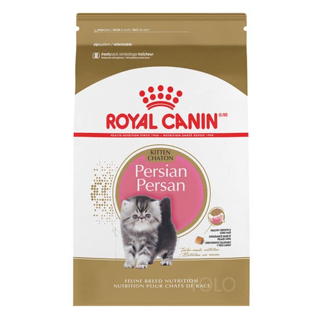 hinh san pham royal canin persian kitten